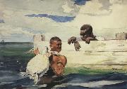 Winslow Homer The Turtle Pound (mk44) oil on canvas
